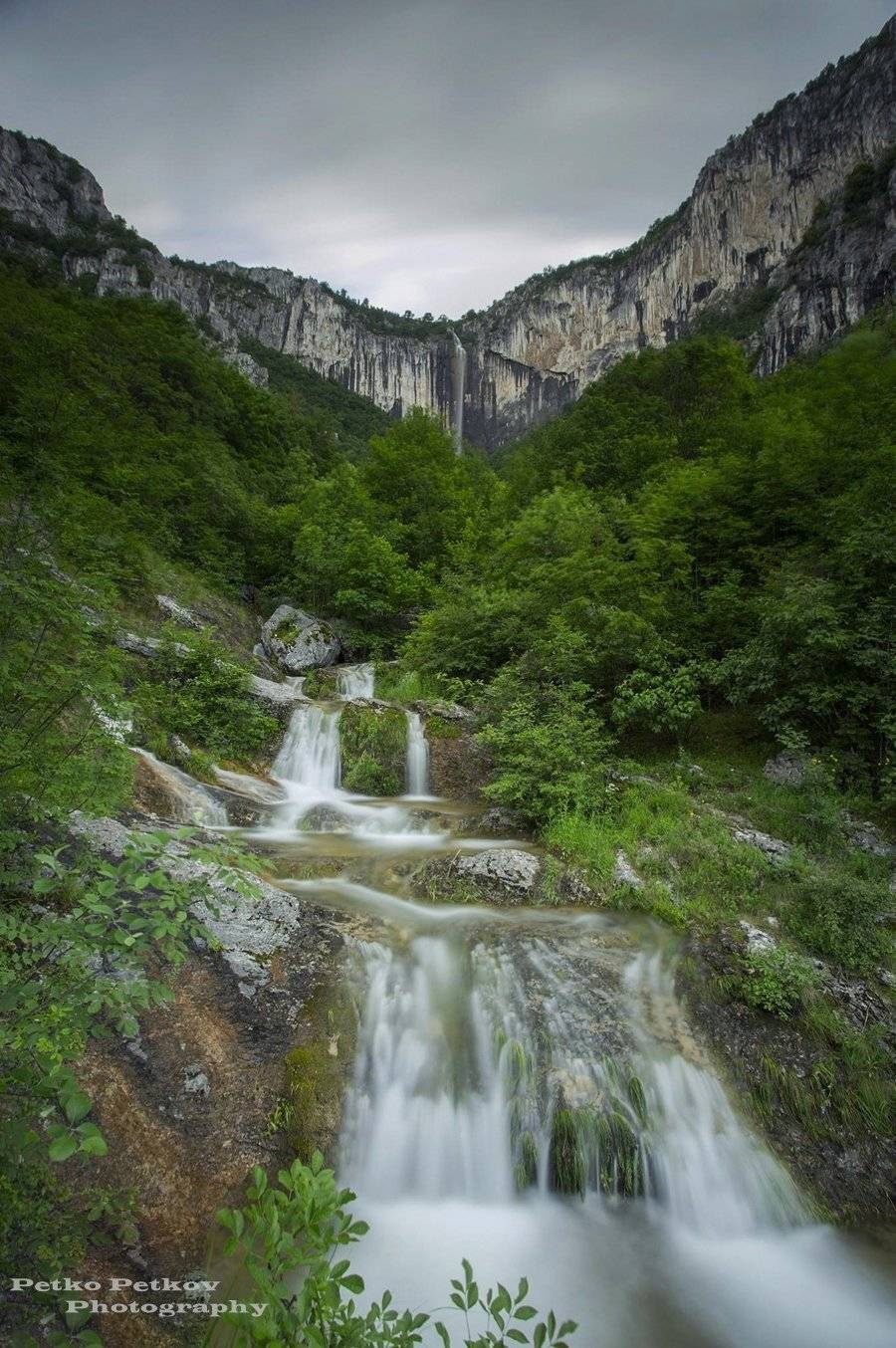 , Петко Петков