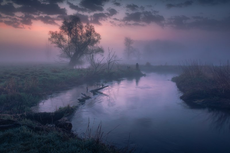 foggy, river, tree, misty, morning, water, dawn, jeziorka, valley, fog, landscape, nature Foggy morning in the Jeziorka valley фото превью