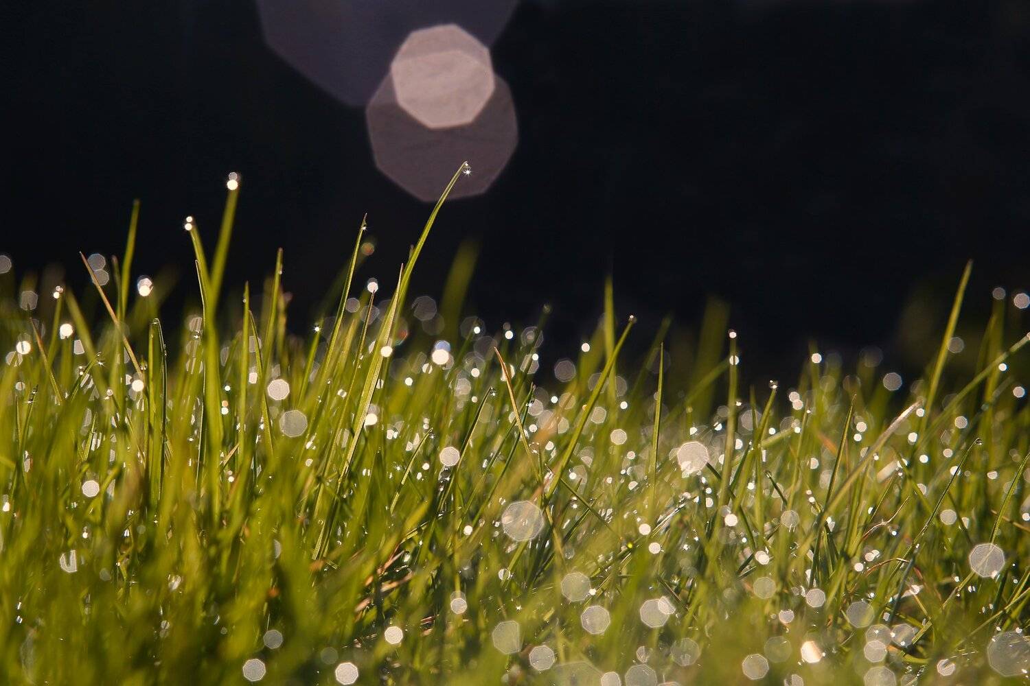 , Эдуард Колобошников