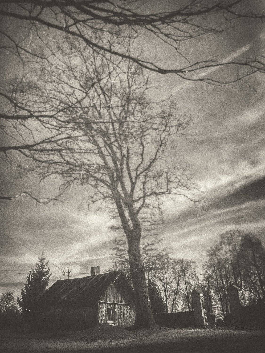 #iphone, #picsart, #snapseed, #pictorialism, Artur Politov