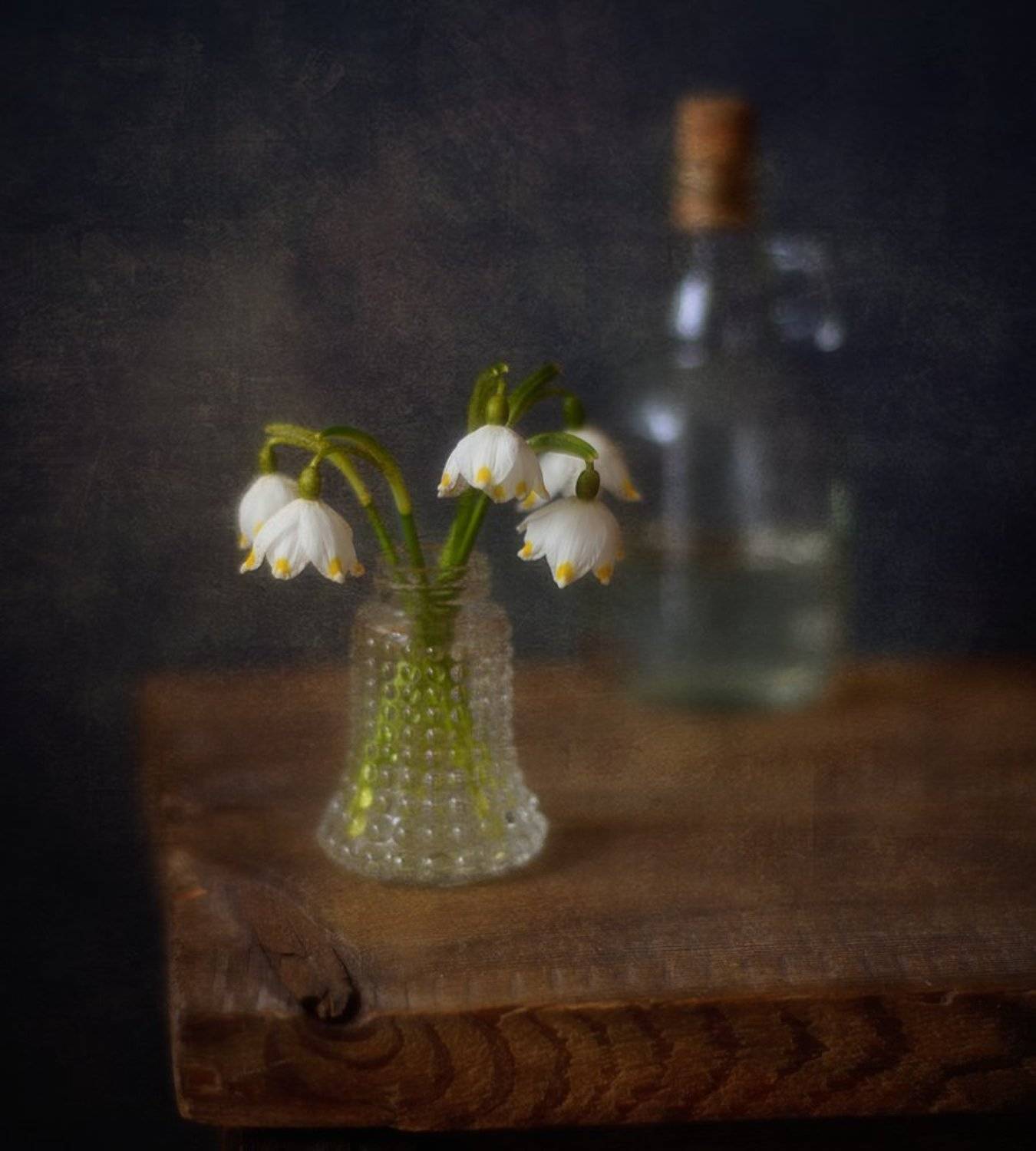 натюрморт,цветы,белоцветник,весна,первоцвет,  Наталия К