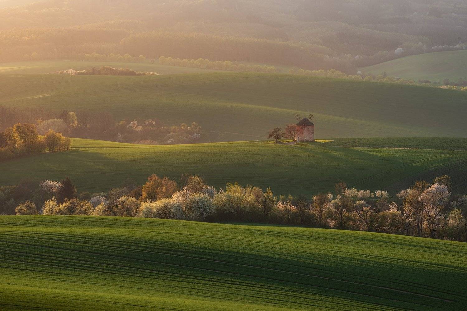 , Красимир Матаров