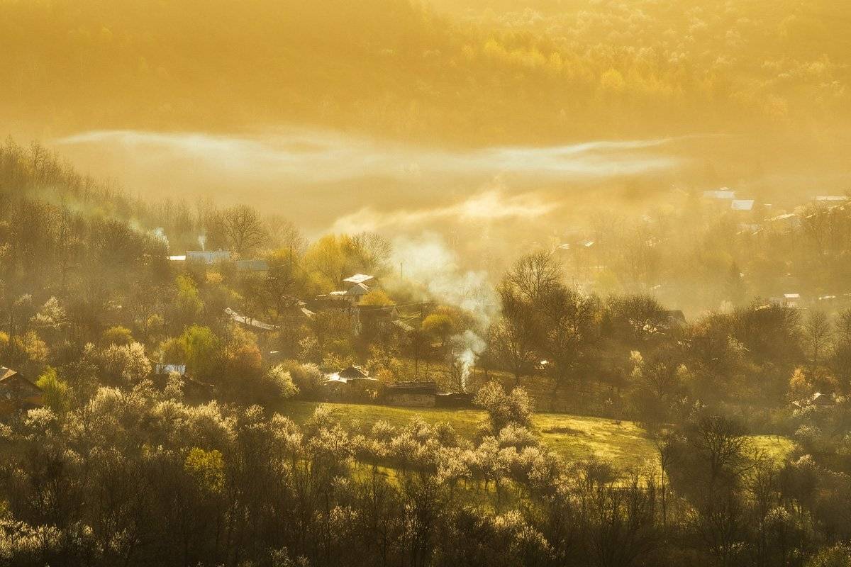 , Stefan Chirobocea