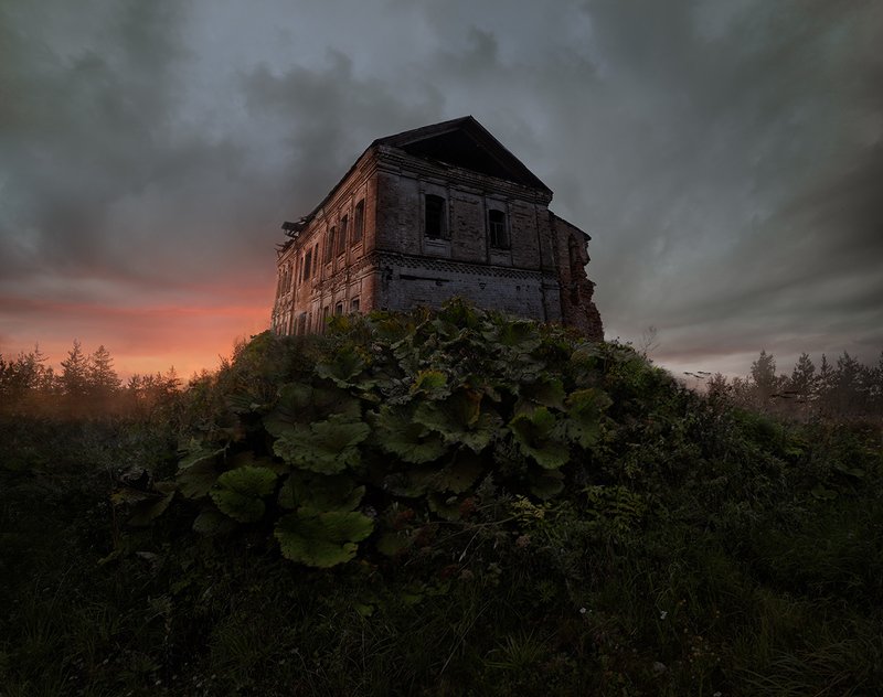 ___ фото превью