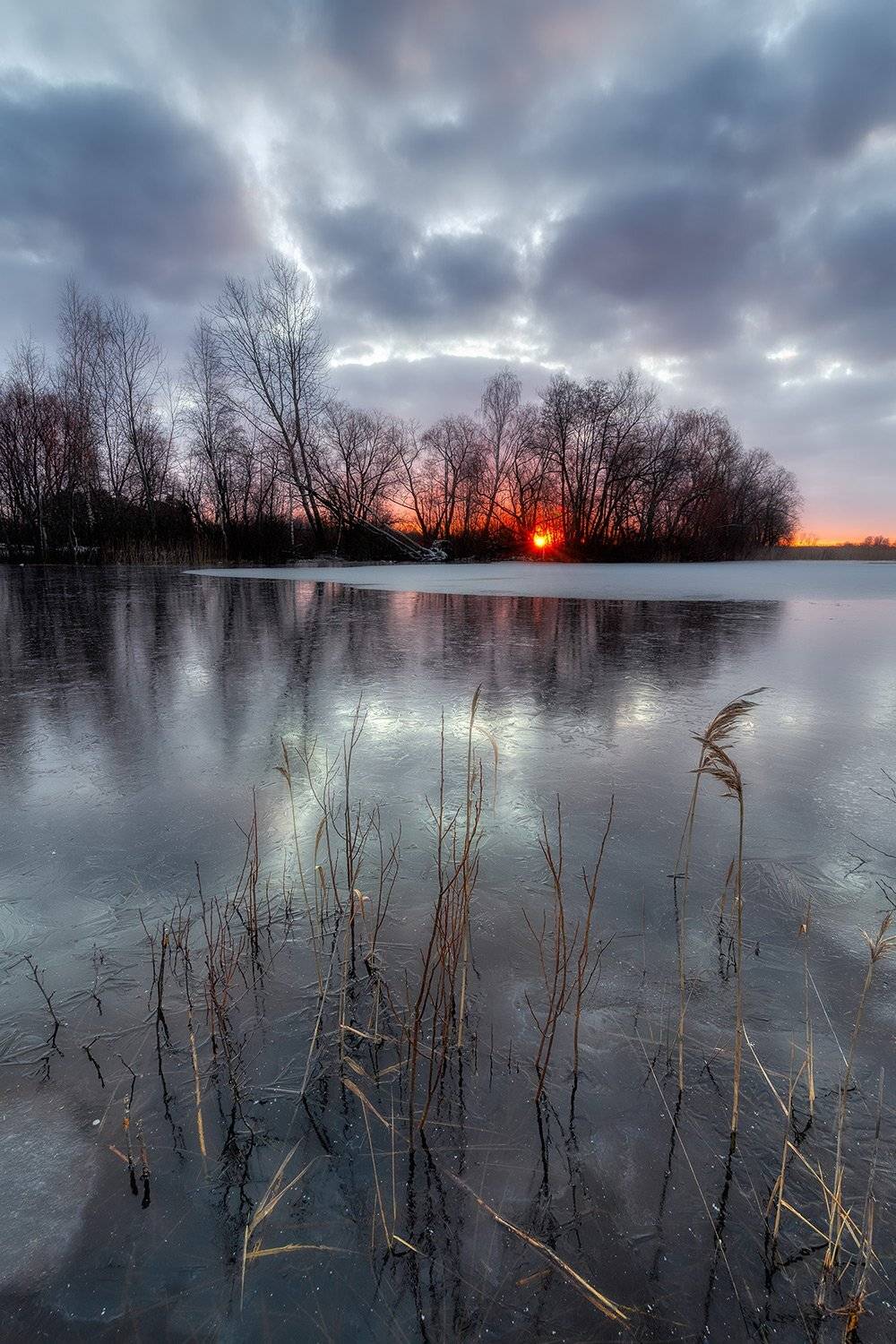 , Федотов Антон