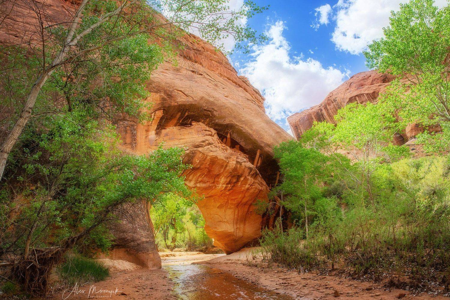 каньон, сша, мост, арка, природа, путешествие, фото-тур, юта, скала, река, ручей, небо, Alex Mironyuk