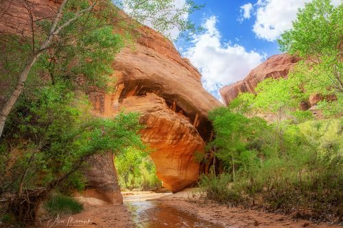 Натуральный мост в ущелье Койота, Юта