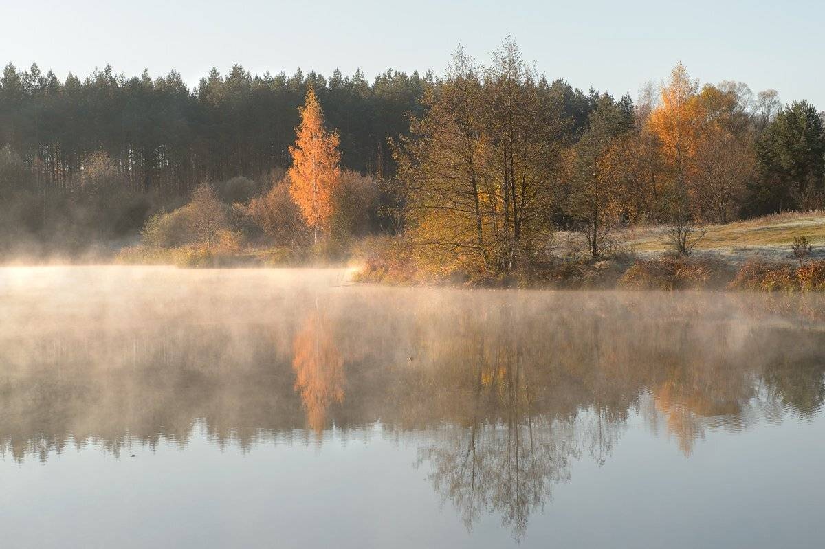 пейзаж,природа,россия,утро,рассвет,красота, Юлия Лаптева