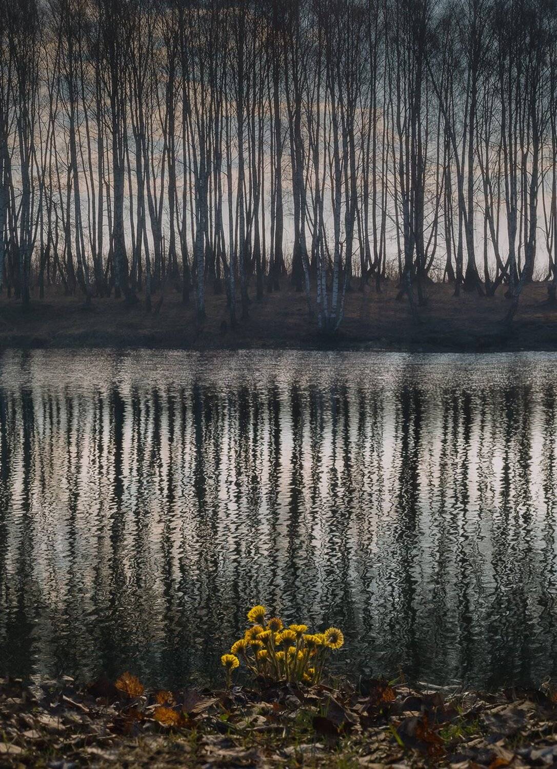 , Баранов Олег