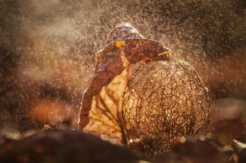 Мини беседка