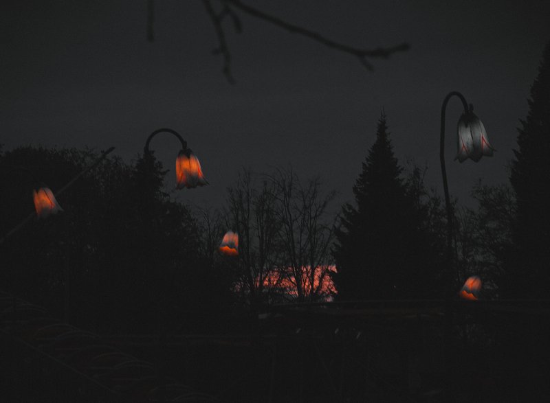 reflection, reality, shot, film, evening, lantern, street, nondescriptive, gloomy, focusing, form, granularity, composition, meaningless, moriyama, отражение, реальность, снимок, пленка, вечер, фонарь, улица, мрачный, размытость, форма, зернистость reflection of another reality фото превью