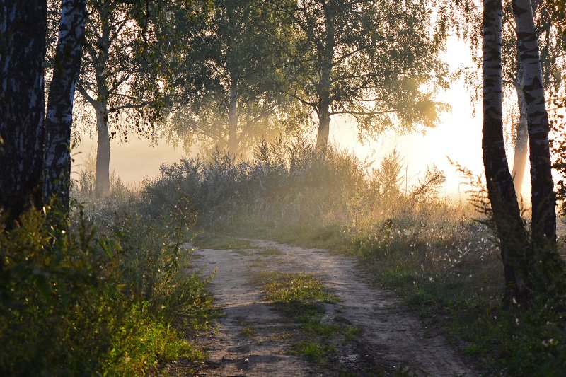 пейзаж, туман, рассвет, акварель Дорога в рассвет фото превью