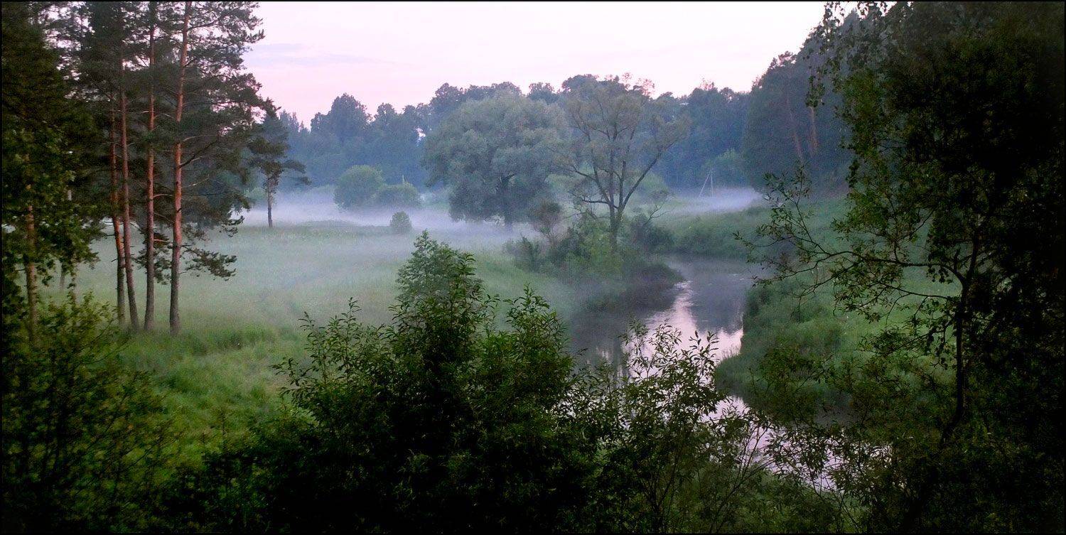, Дарья Васильева
