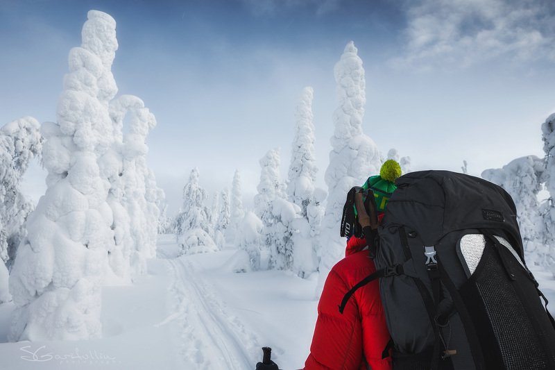Зимний пейзаж, зимний поход, лыжня, Урал, Северный Урал, Лямпа, ГУХ, Главный уральский хребет Поход фото превью
