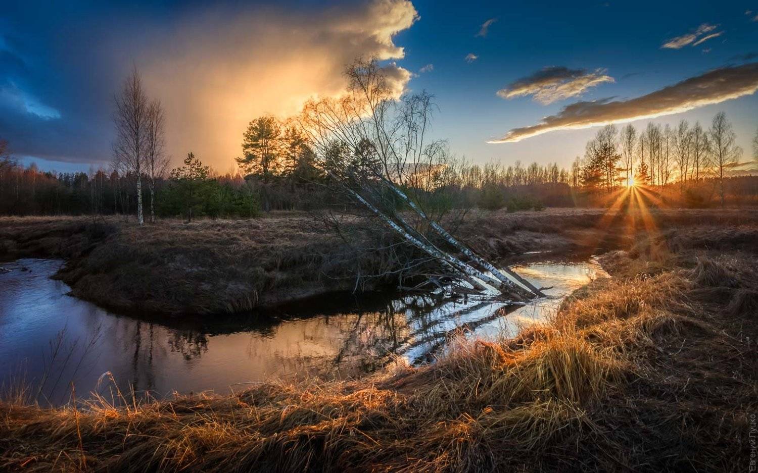 , Евгений Луцко