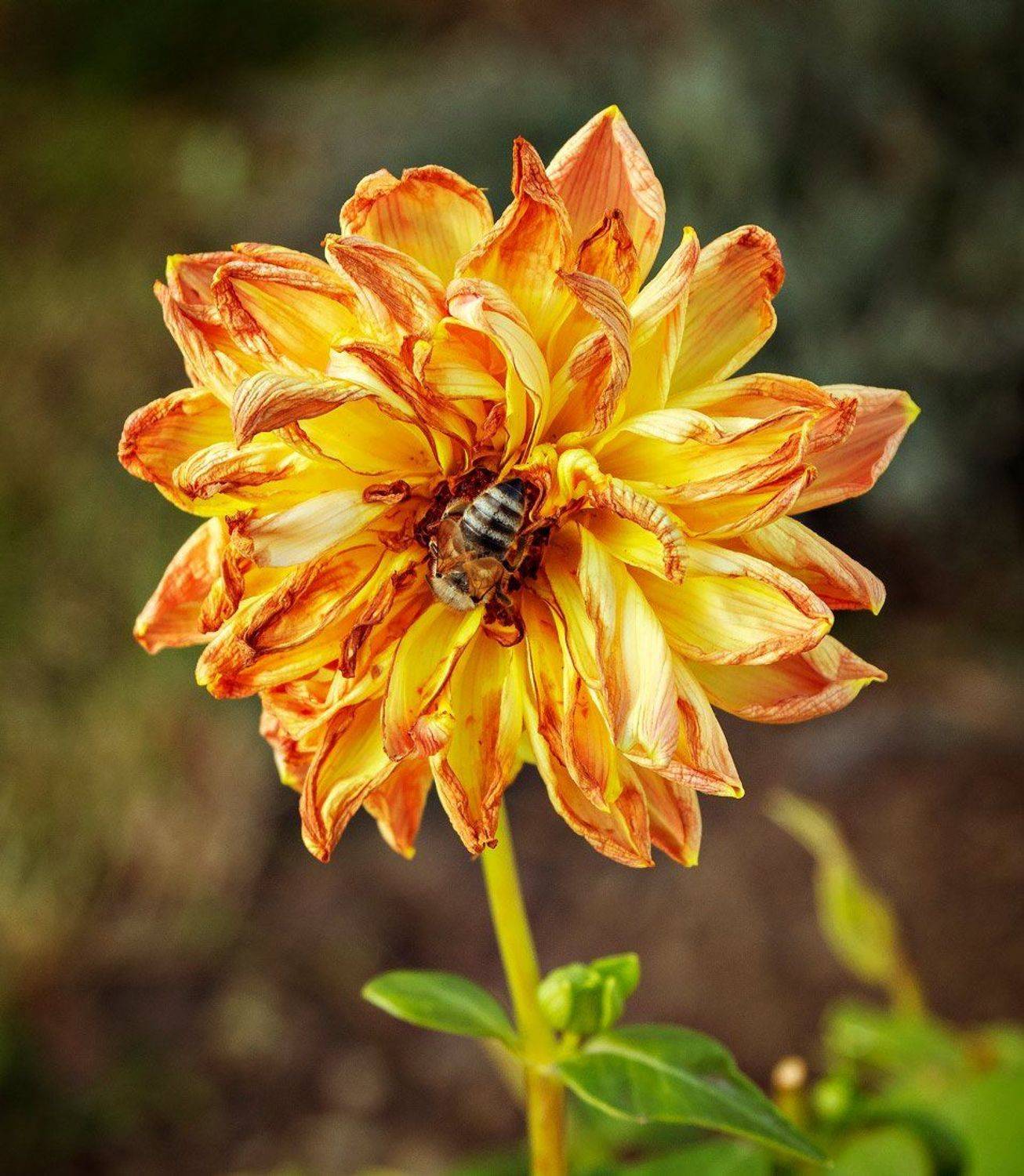 , Владимир Гамаюнов