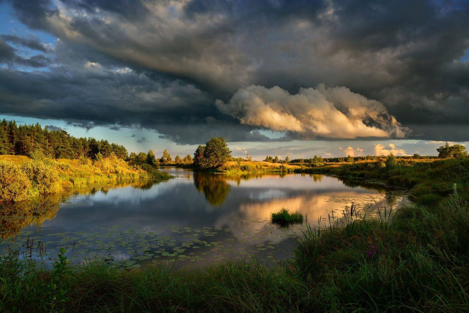 лето,небо,тучи,заводь,свет, Виталий Полуэктов