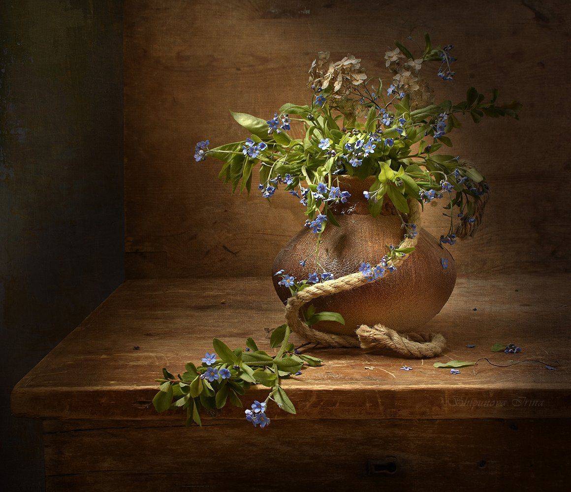 , Шипунова Ирина