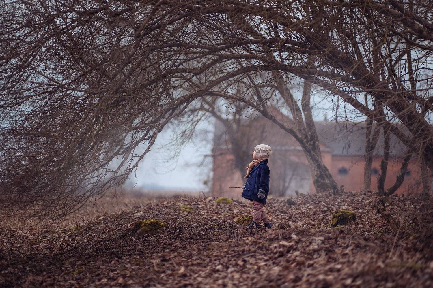 , Анна Балабан