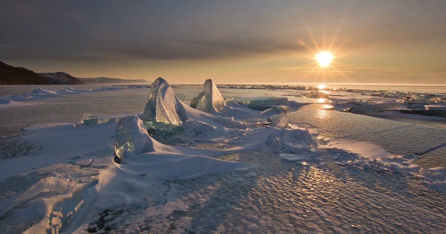 , Алексей Трофимов