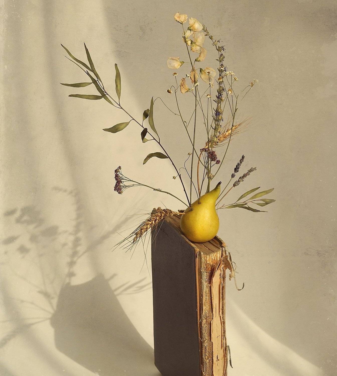 , Надежда Власова