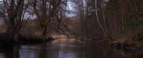 На мрачных берегах