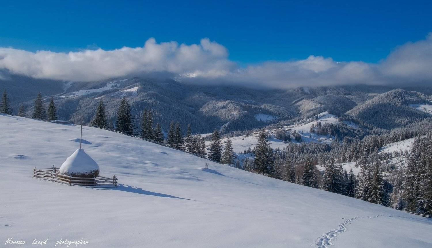 #nature, #туман, #лес, #oсень, #украина, #карпаты, #пейзаж, #закат, #туман, #солнце, #свет, #mountain range, #mountains, #туризм, #лес, #nature, #природа,, Леонид Морозов