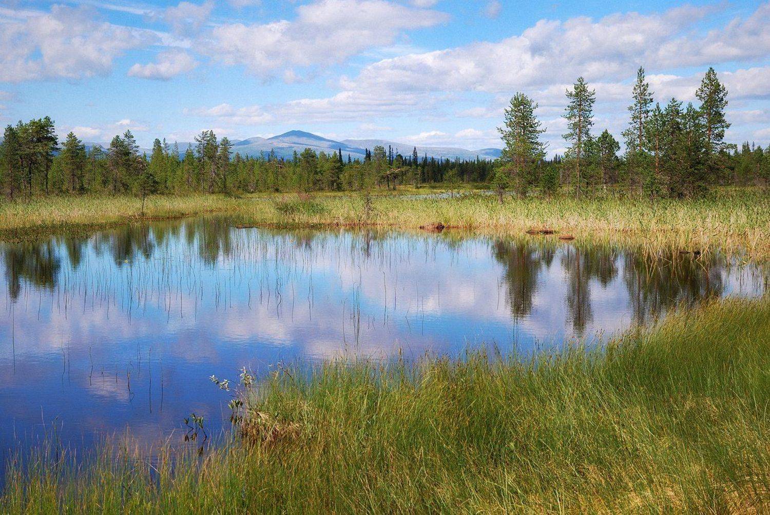 кольский, закат, вода, белые ночи, Лопухов Сергей