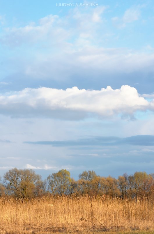 весна , луг , небо , облака На лугу фото превью