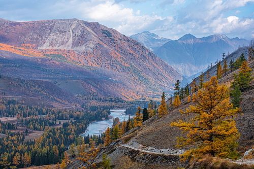 На реке Аргут