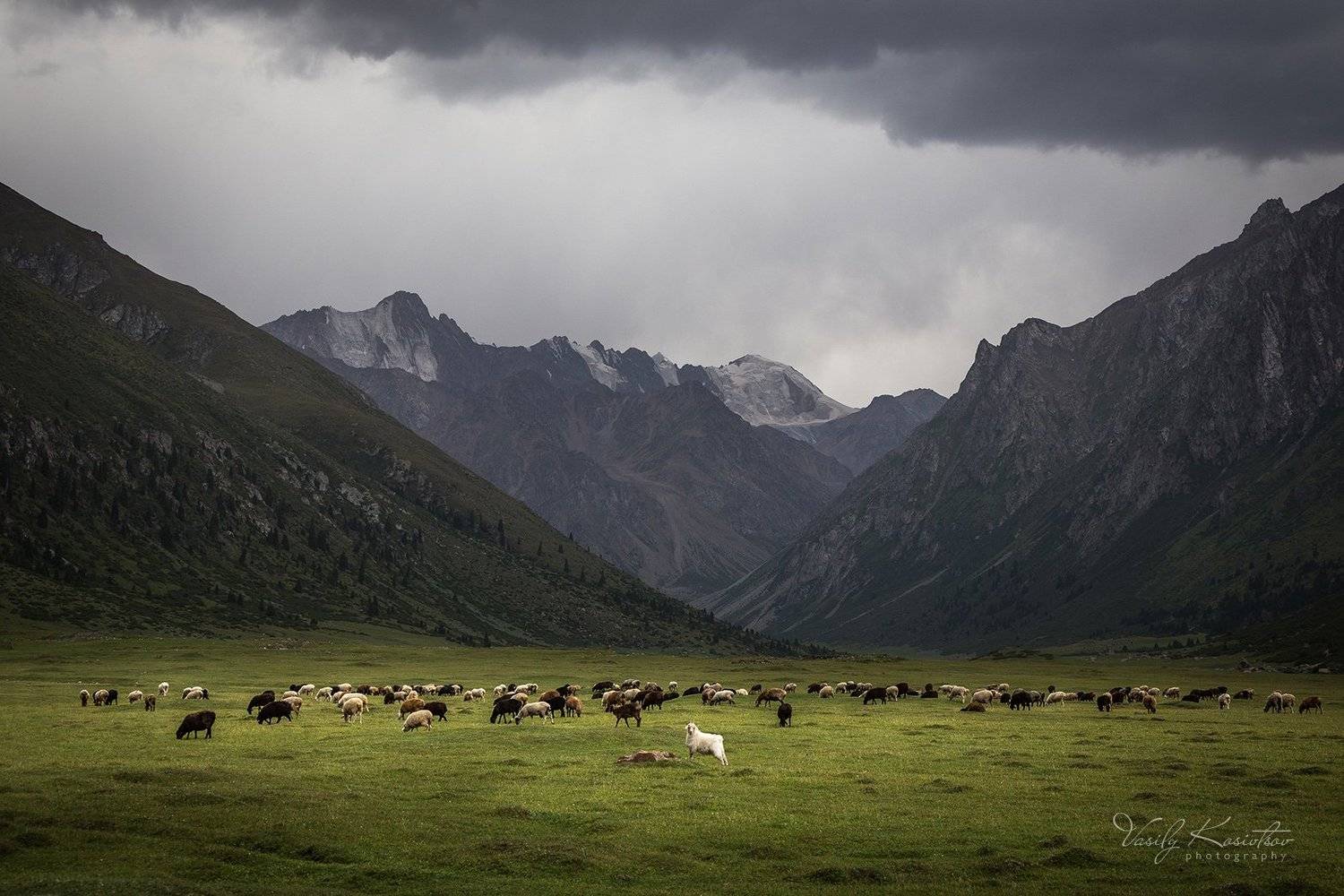 тянь-шань, август 2019, Василий Косивцов