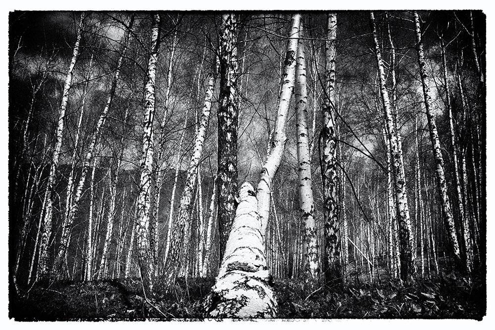 кыргызстан, горы, Элина Магалимова