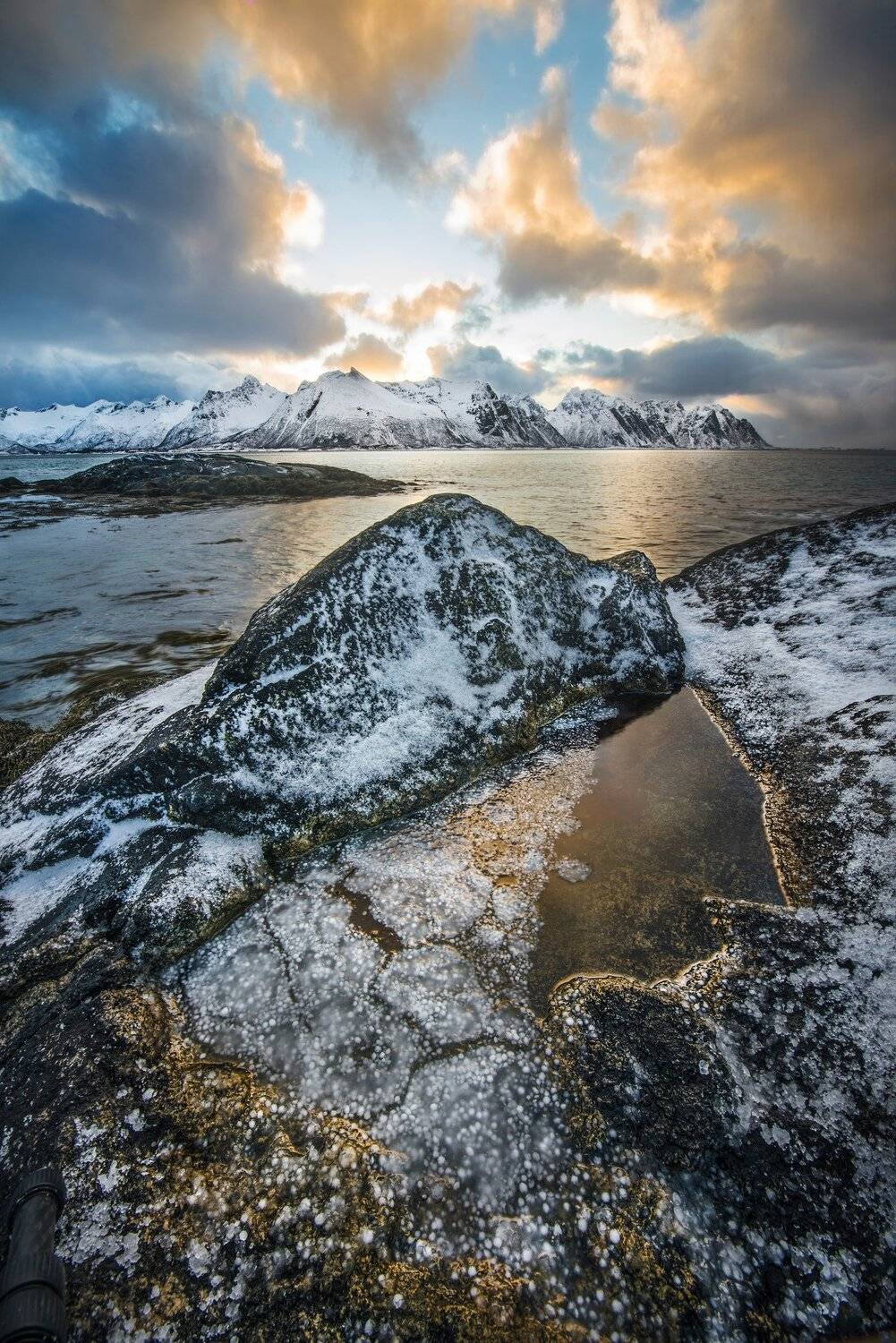 , Елена Ермолина