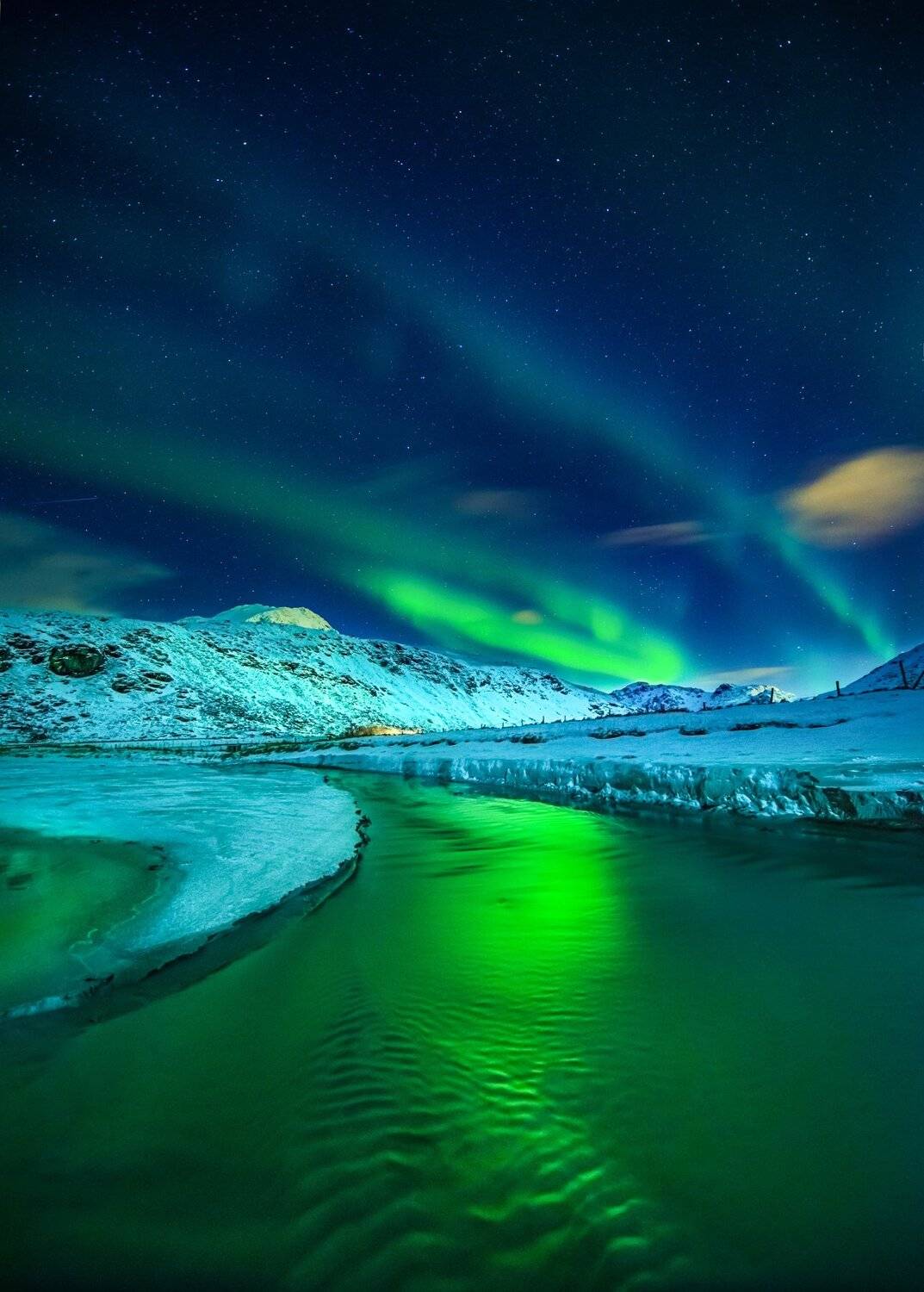 , Елена Ермолина