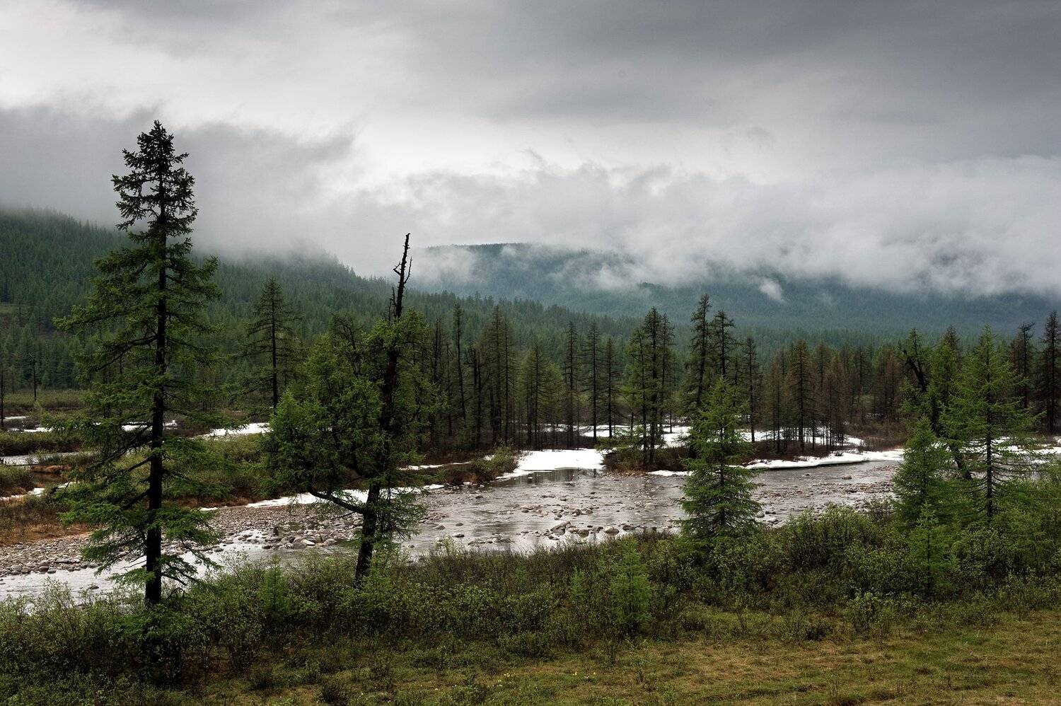 , Борис Леваков