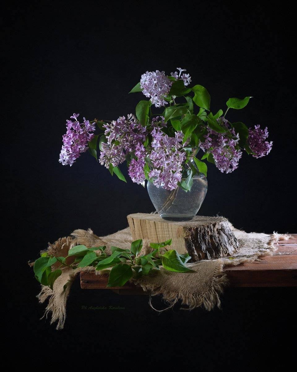 , Анжелика Королева