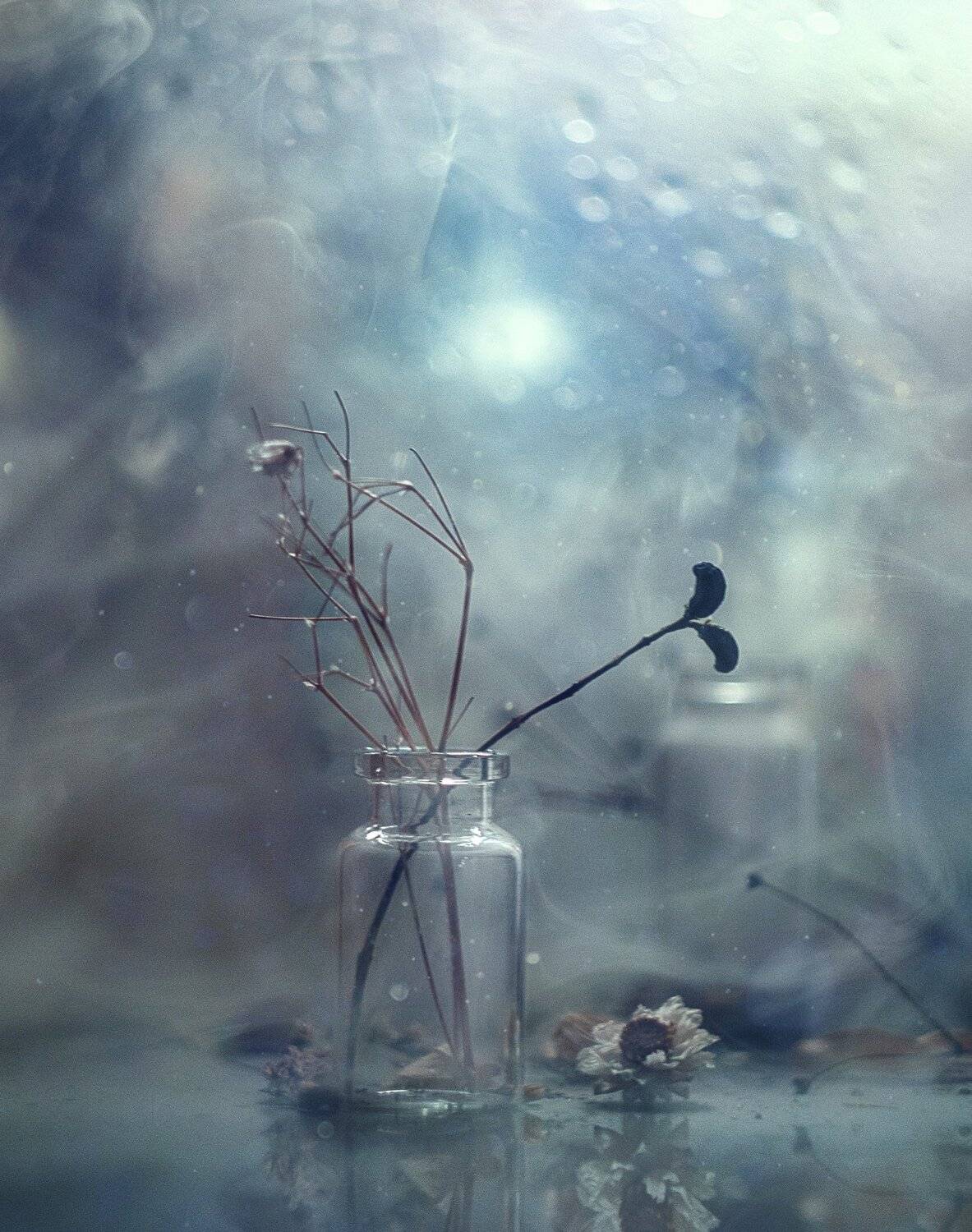 , Владимир Осауленко