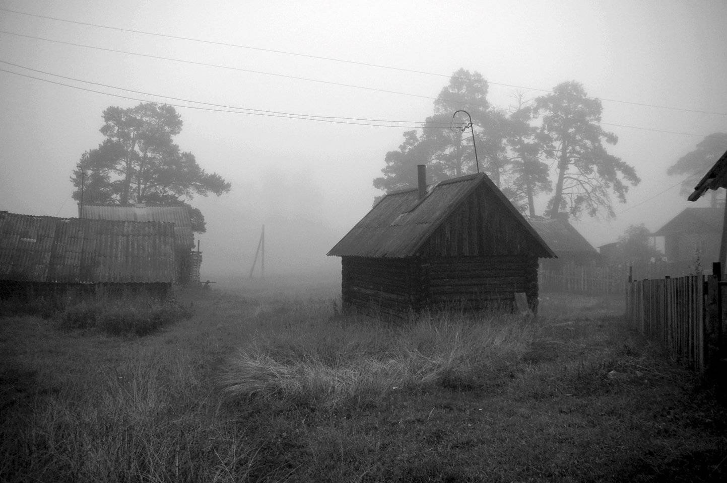 , Дарья Васильева