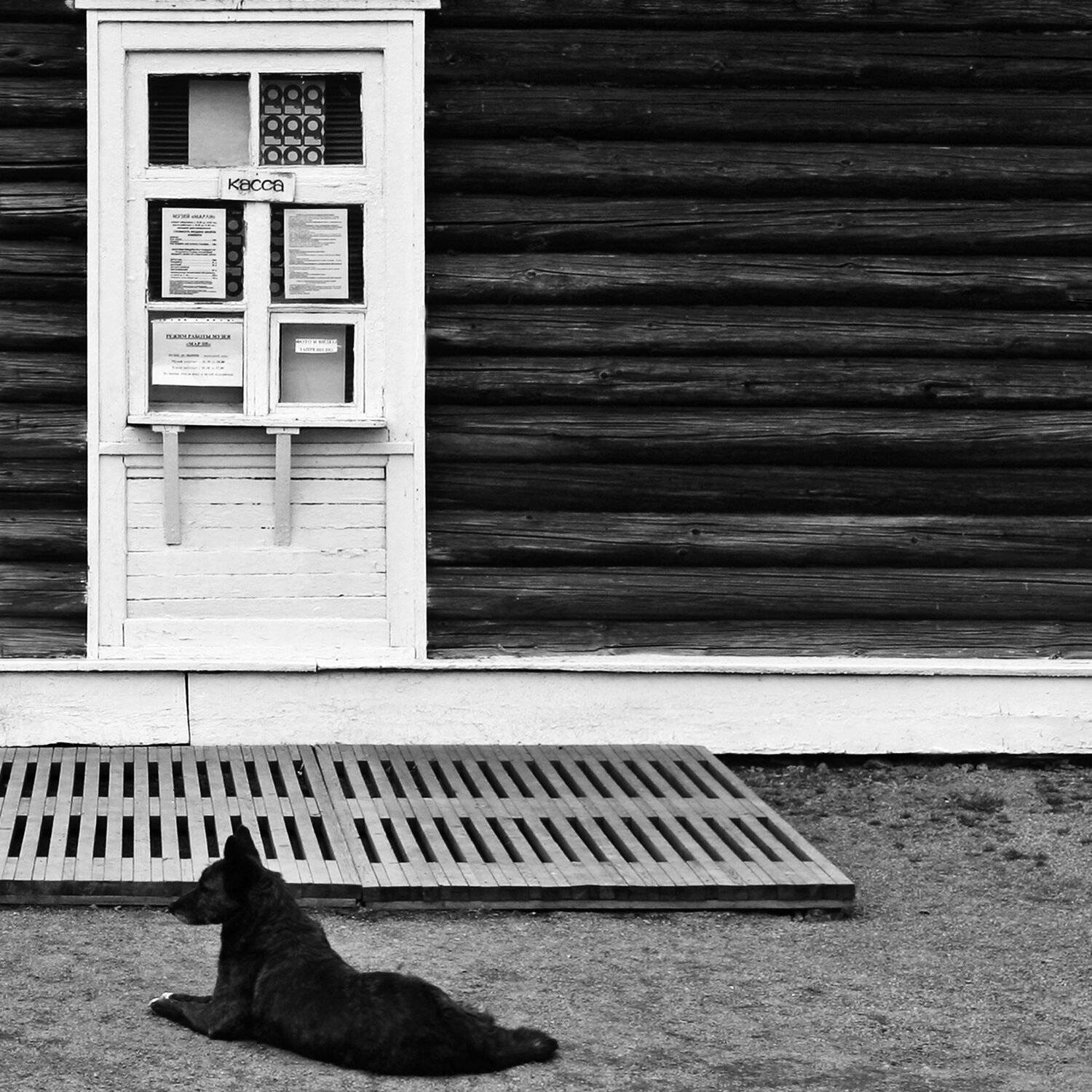 , Станислав Комов