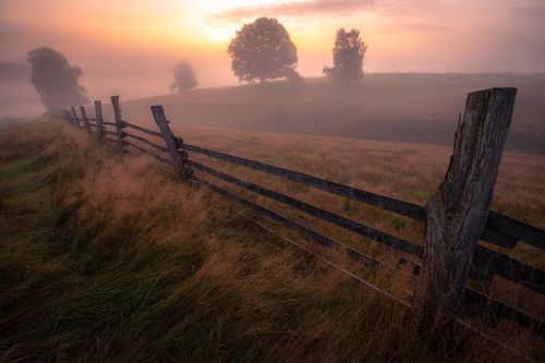 Sunrise in meadows