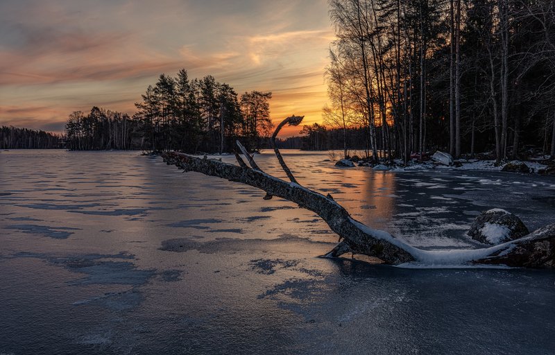 местная Несси фото превью