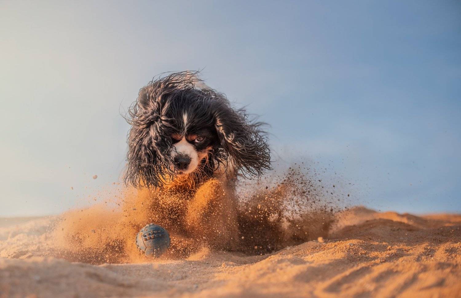 , Alena Trojanovičov&aacute;