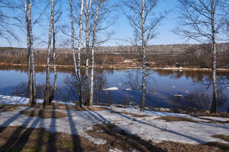 Весенний воздух чист и прозрачен фото превью