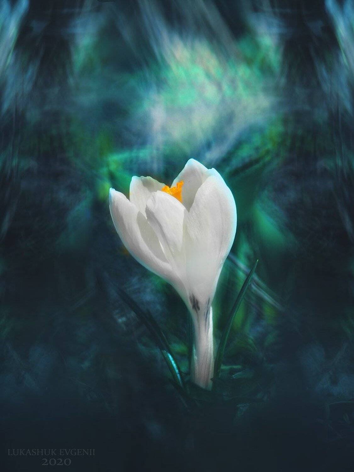 , Евгений Лукашук