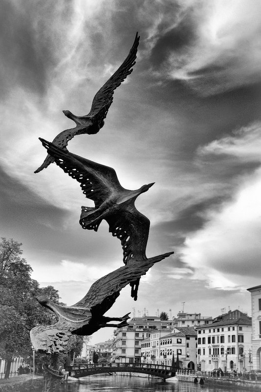 Скульптурный Тревизо фото превью