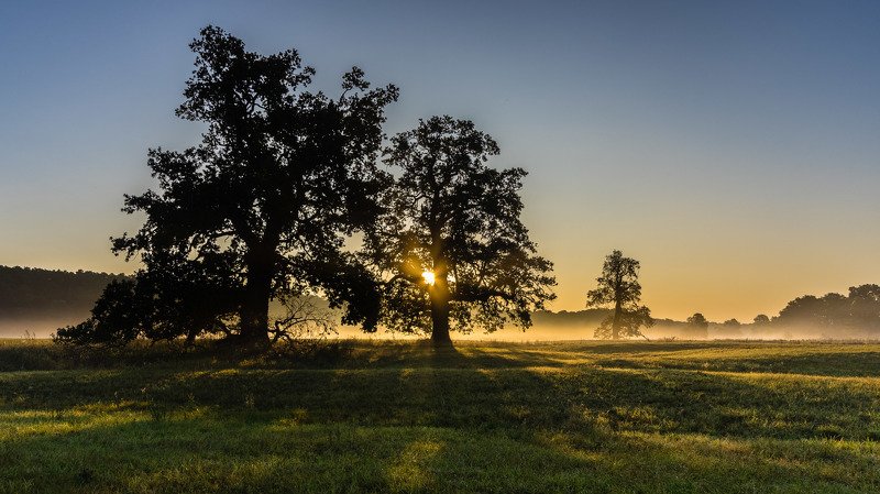Sunrise фото превью