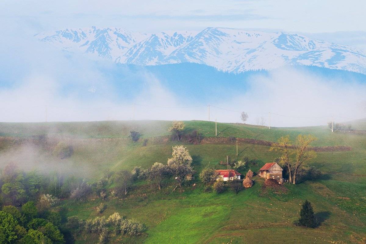 , Stefan Chirobocea