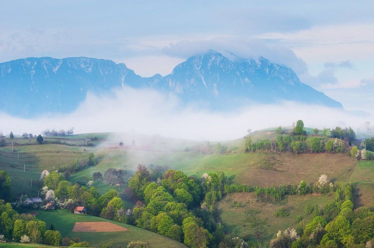 , Stefan Chirobocea