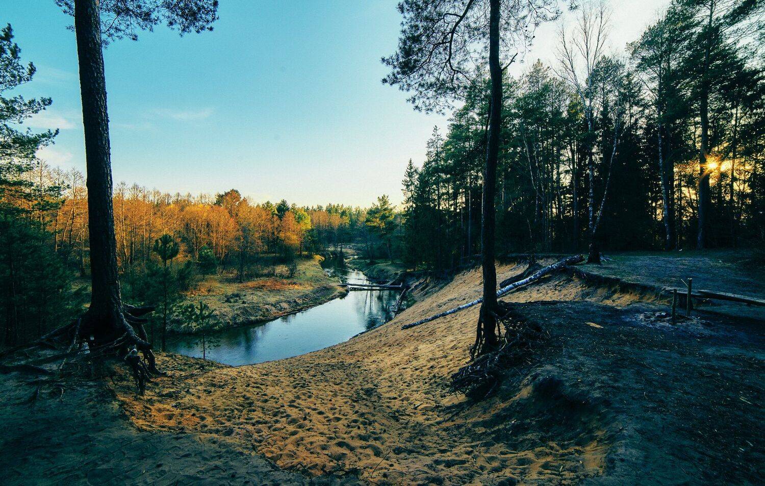 , Александр Фанковин