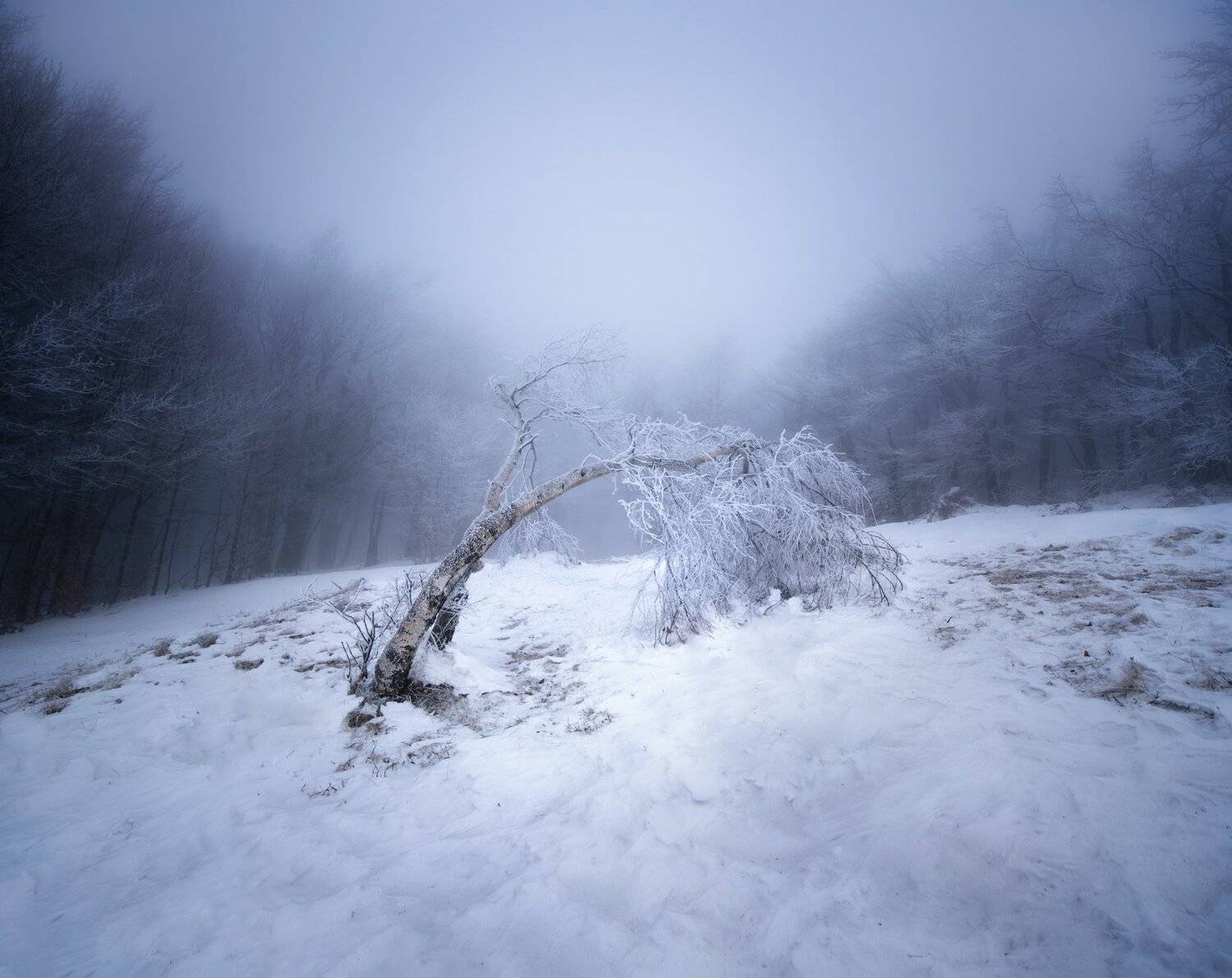 , Radoslav Sviretsov